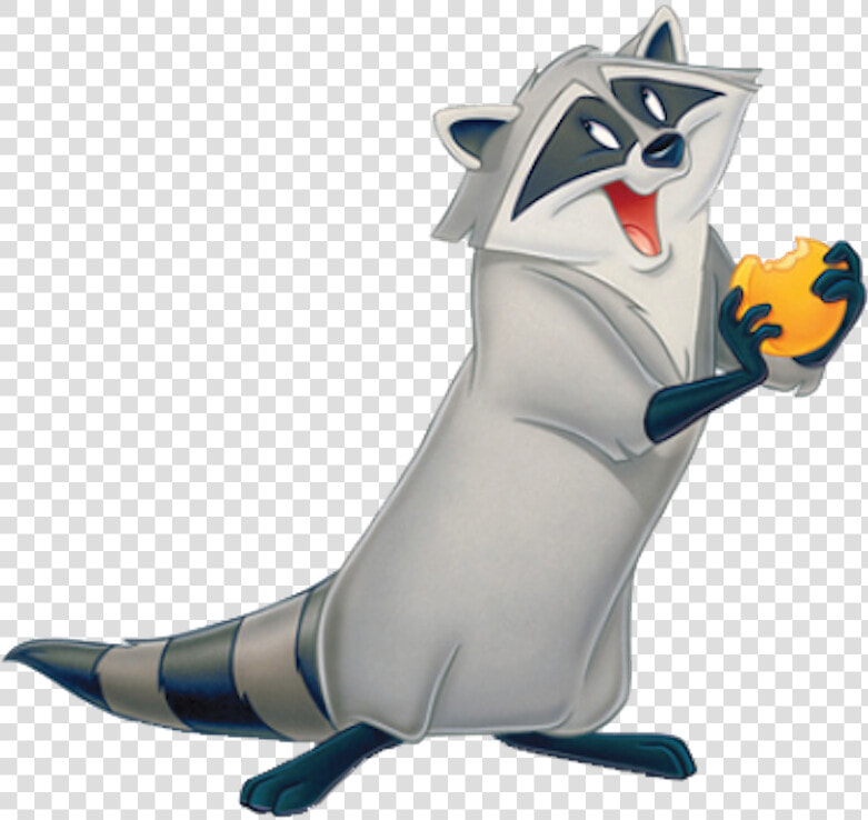 Meeko From Pocahontas  HD Png DownloadTransparent PNG