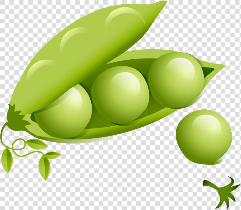 Green Food Transparent Background   Green Beans Cartoon  HD Png DownloadTransparent PNG