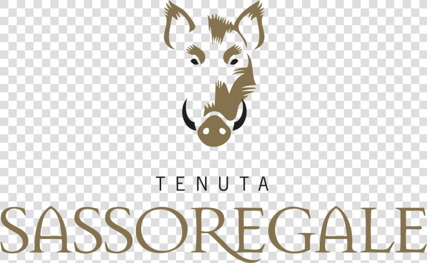 Sassoregale   Snout  HD Png DownloadTransparent PNG