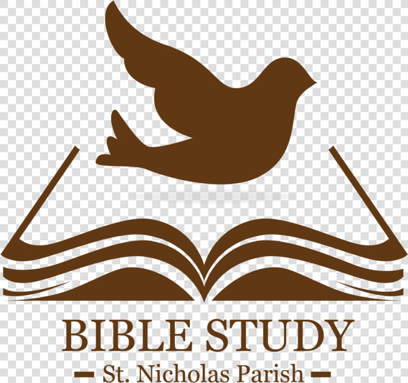 Bible Study   Graphics Bible Study  HD Png DownloadTransparent PNG