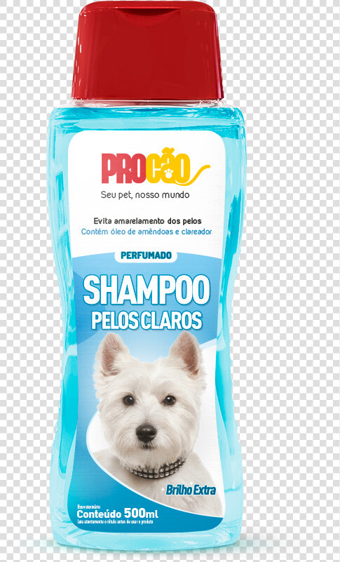 Procão  HD Png DownloadTransparent PNG