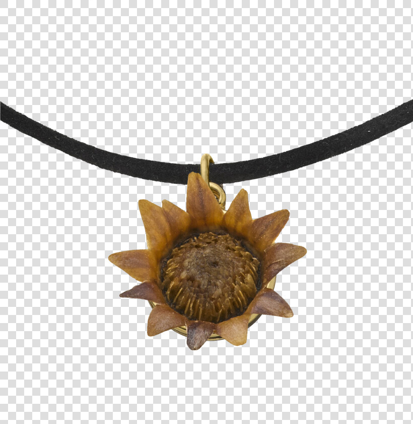 Choker Necklace With Blessing Flower   Locket  HD Png DownloadTransparent PNG