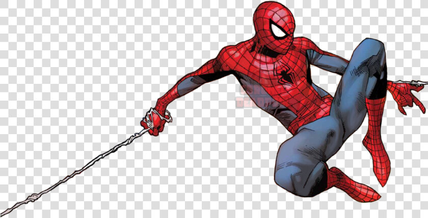 The Amazing Spider Man Marvel Comics   Transparent Background Spider Man Png  Png DownloadTransparent PNG