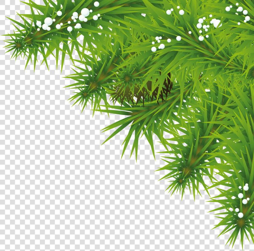 Tree Branches With Leaves Png   Tree Png Background Hd  Transparent PngTransparent PNG