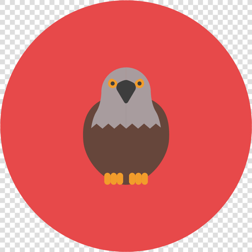 This Icon Represents A Falcon   Hawk  HD Png DownloadTransparent PNG