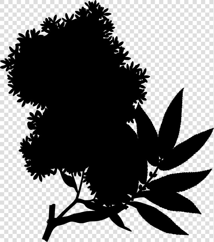 African Redwood Clip Arts   Hagenia Abyssinica Flowers  HD Png DownloadTransparent PNG