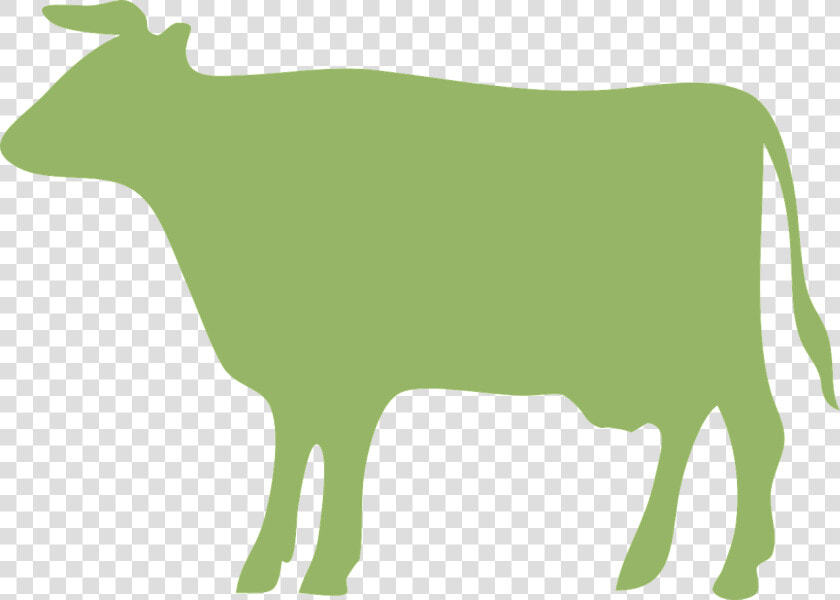 Cow  Cattle  Green  Ox   Green Cow Silhouette  HD Png DownloadTransparent PNG