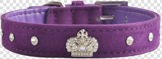 Velvet Dog Collar   Purple With Diamantes   Bracelet  HD Png DownloadTransparent PNG