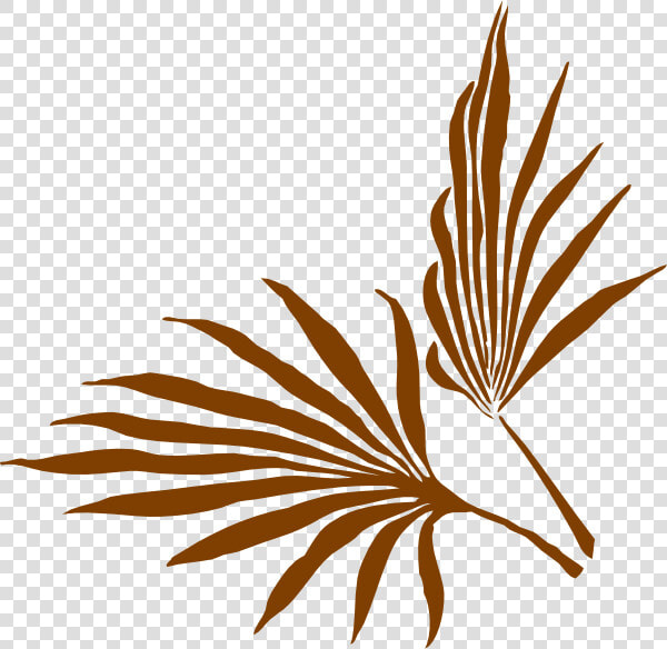 Palm Frond Clip Art  HD Png DownloadTransparent PNG