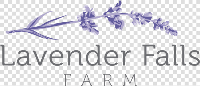 Lavender Sprig Png   Png Download   Lavender Logo Png  Transparent PngTransparent PNG