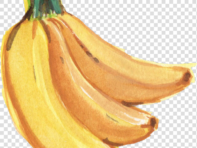 Banana Png Transparent Images   Banana Fruit Watercolor Png  Png DownloadTransparent PNG