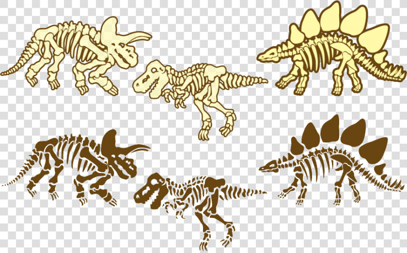 Fossils Png Free Image   Dinosaur Skeleton Vector  Transparent PngTransparent PNG