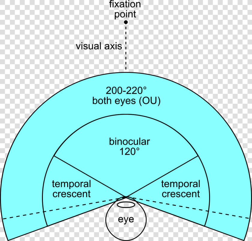 Human Binocular Field Of View  HD Png DownloadTransparent PNG