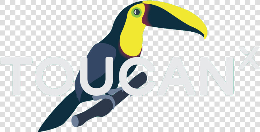 Toucan  HD Png DownloadTransparent PNG