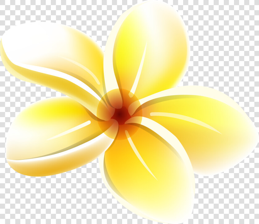 Tropical Flower Clipart  Havaianas  Art Pictures  Yandex   Frangipani  HD Png DownloadTransparent PNG