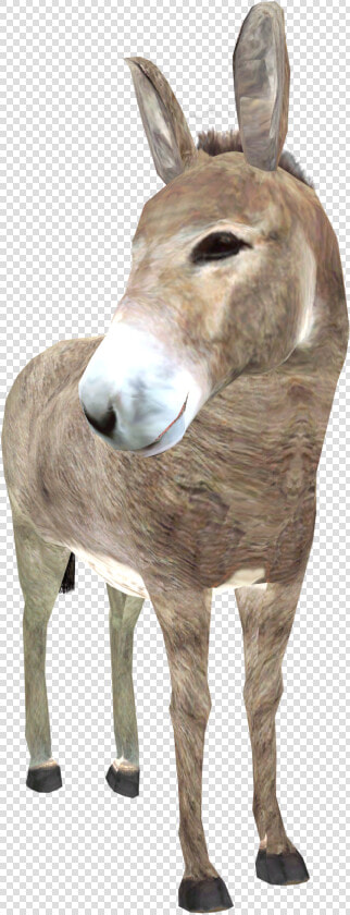 Donkey Png High quality Image   Donkey Png  Transparent PngTransparent PNG