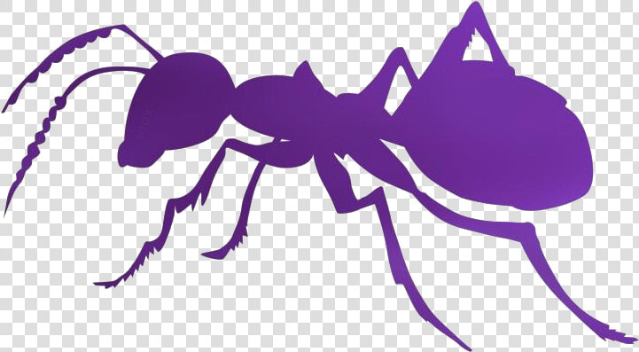 Sugar Ants Png Transparent Images   Ant Silhouette Clip Art  Png DownloadTransparent PNG