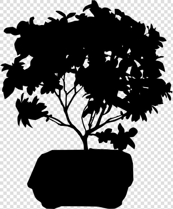 Transparent Bonsai Tree Png   Transparent Background Ficus Bonsai  Png DownloadTransparent PNG