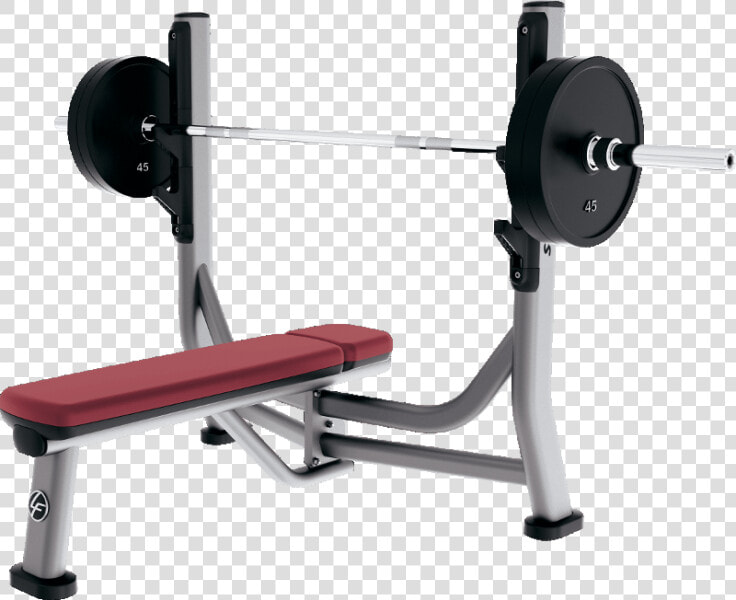 Gym Fitness Equipment Png   Life Fitness Olympic Bench  Transparent PngTransparent PNG