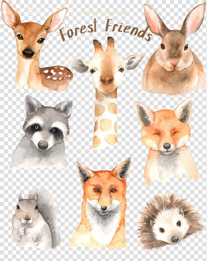 Watercolor Animal Material   Forest Friend Watercolor  HD Png DownloadTransparent PNG