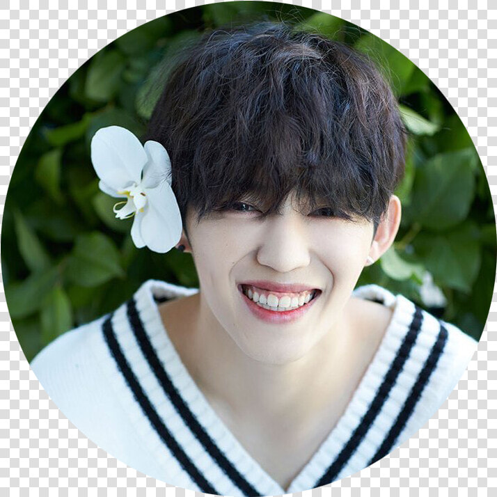 Seventeen S Coups  HD Png DownloadTransparent PNG