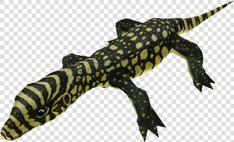 Download Zip Archive   Zoo Tycoon 2 Reptile Downloads  HD Png DownloadTransparent PNG