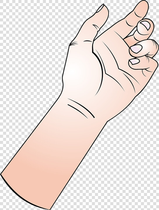 Hand  Fingers  Forearm  Arm  Thumb  Finger  Human    Hand Holding Something Cartoon  HD Png DownloadTransparent PNG