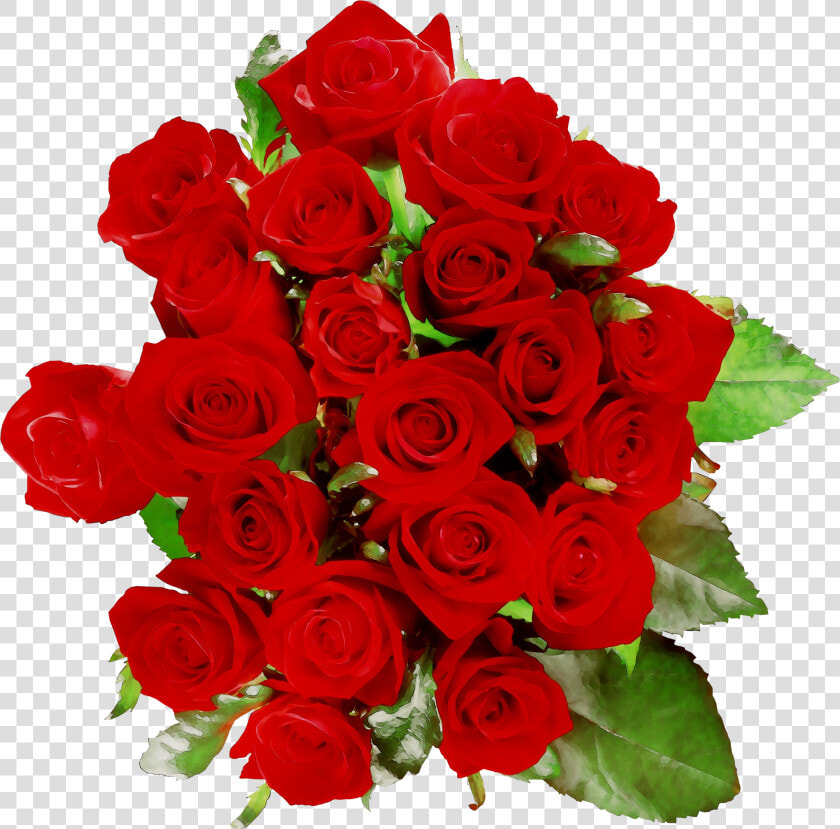 8dx Wa16 Quirkeee Roses Floribunda Cafe Garden Clipart   Криштиану Роналду Поздравляет  HD Png DownloadTransparent PNG