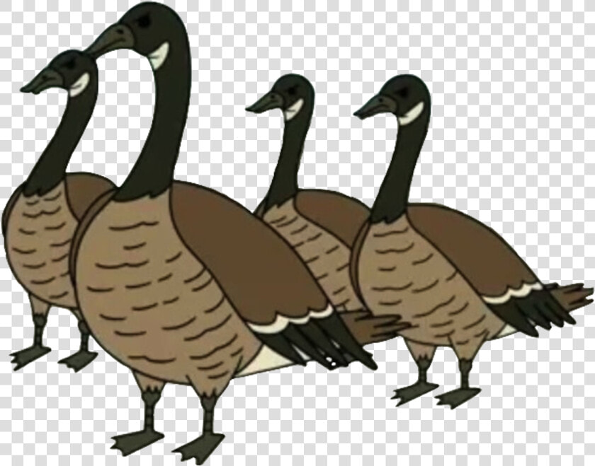 Canada goose   Regular Show Geese Png  Transparent PngTransparent PNG