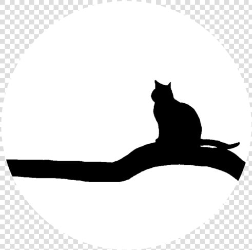 Silhouette felidae cat   Cat Yawns  HD Png DownloadTransparent PNG