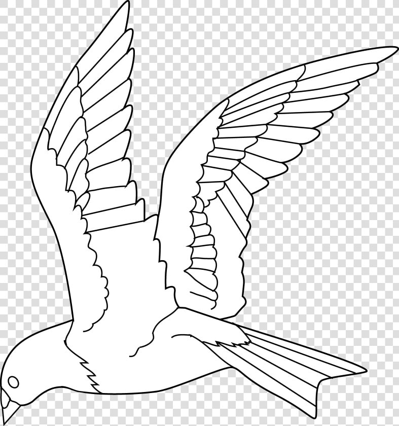 Clip Art White Bird   Birds Flying Black And White  HD Png DownloadTransparent PNG