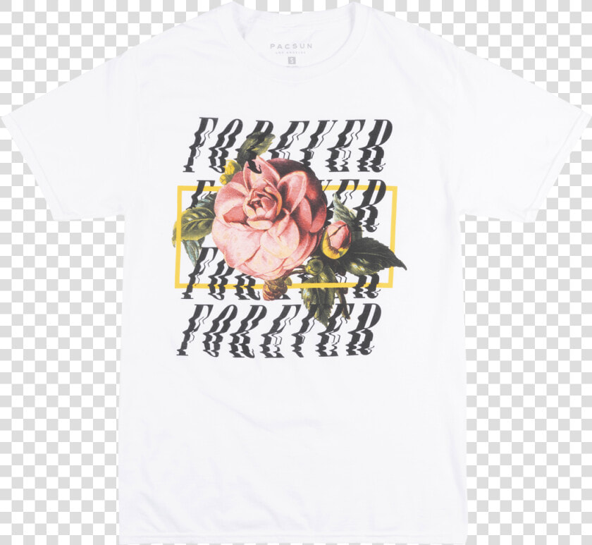 Pacsun Graphic Tee  HD Png DownloadTransparent PNG