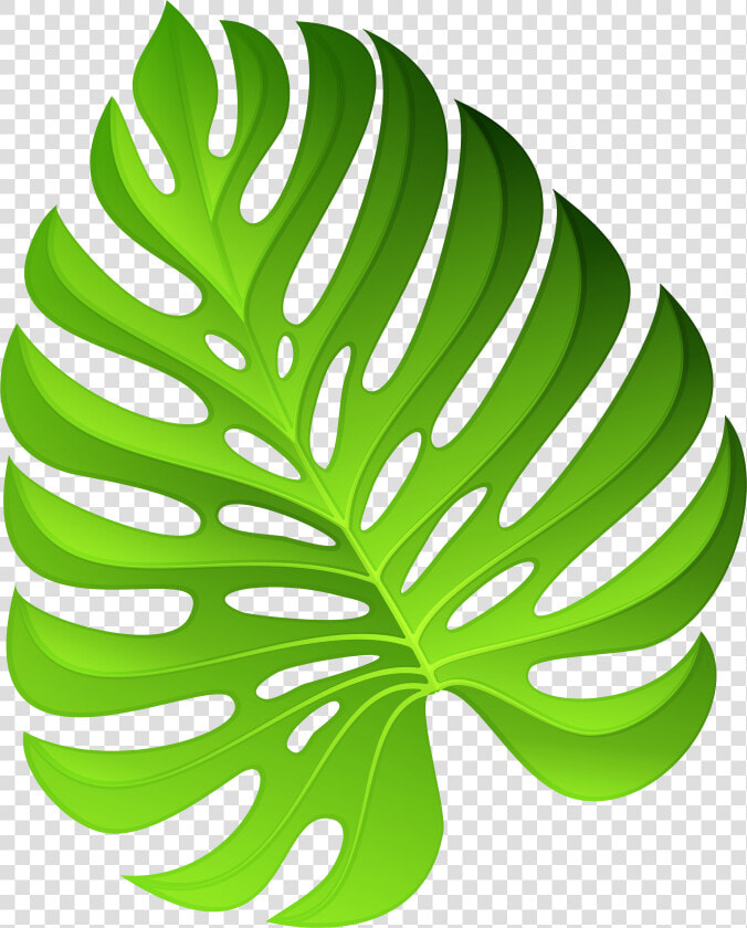 Exotic Green Plant Decoration Png Clipart Image   Png Clipart Plants Png  Transparent PngTransparent PNG