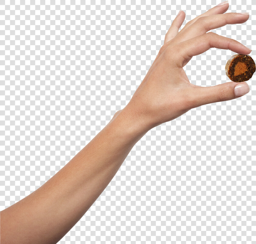 Shot Put  HD Png DownloadTransparent PNG