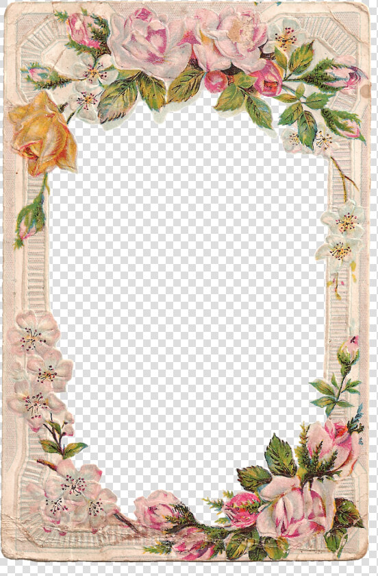 Certificado Para Mailynet Gonzalez Sicologa De Ester   Floral Frames And Borders  HD Png DownloadTransparent PNG