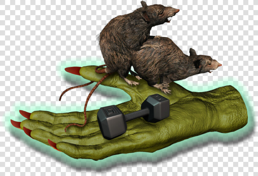 Big Fitness Goblin Rats   Punxsutawney Phil  HD Png DownloadTransparent PNG