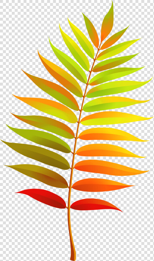 Colorful Transparent Fall Leaf Clipart   Fall Leaf Clipart Transparent  HD Png DownloadTransparent PNG