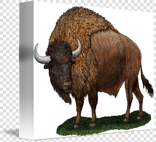 Twin Drawing Bison   Ancient Bison  HD Png DownloadTransparent PNG