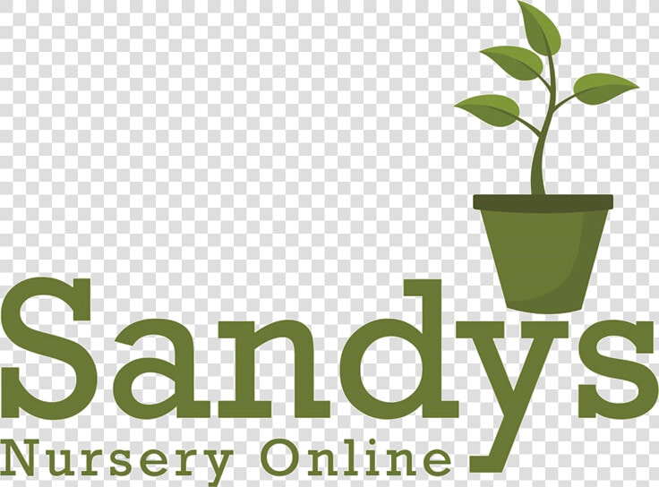 Sandys Nursery Online   Flowerpot  HD Png DownloadTransparent PNG