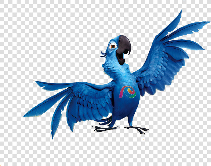 Bird Clipart Rio   Rio Png  Transparent PngTransparent PNG