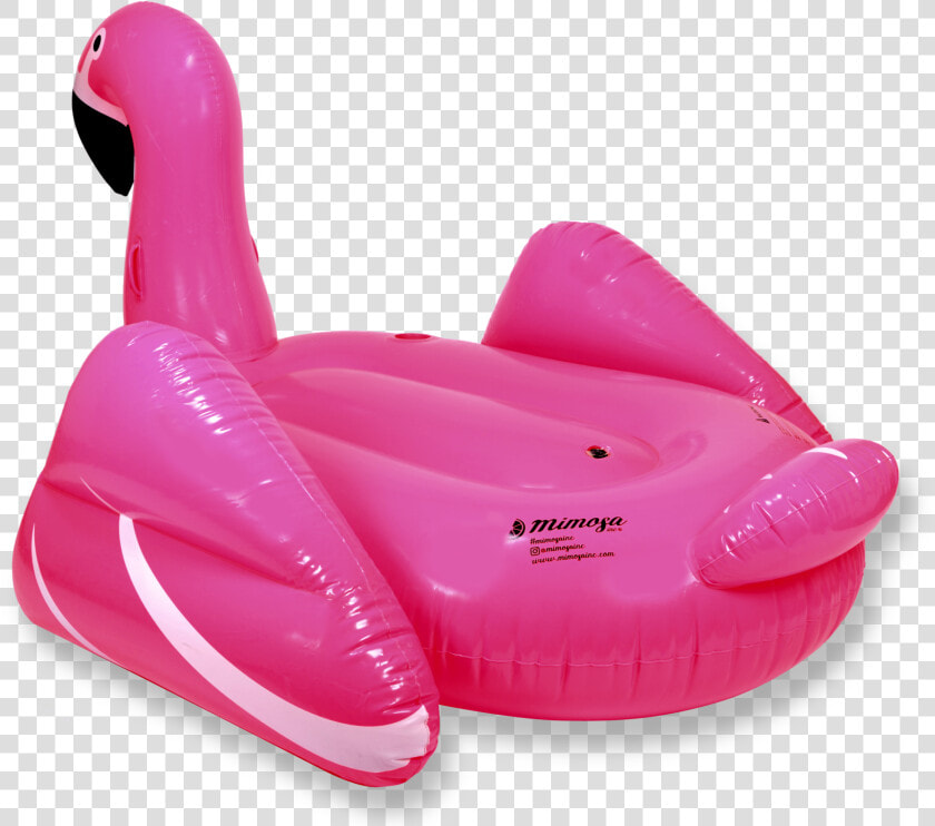 Pink Float Mimosa Inc   Flamingo Pool Floatie Png  Transparent PngTransparent PNG