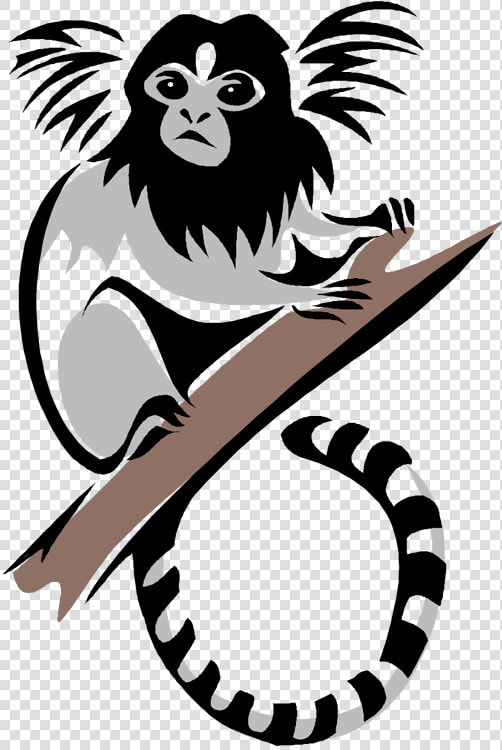 Marmoset Clipart  HD Png DownloadTransparent PNG