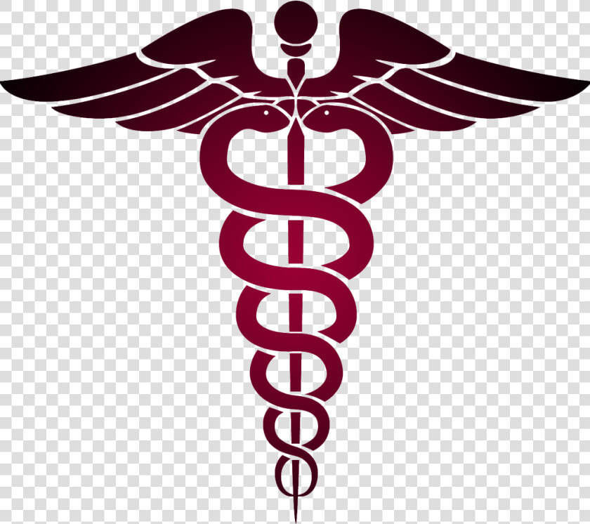 Physicians Must Currently Be Licensed To Practice Medicine   Nurse Symbol Vector  HD Png DownloadTransparent PNG