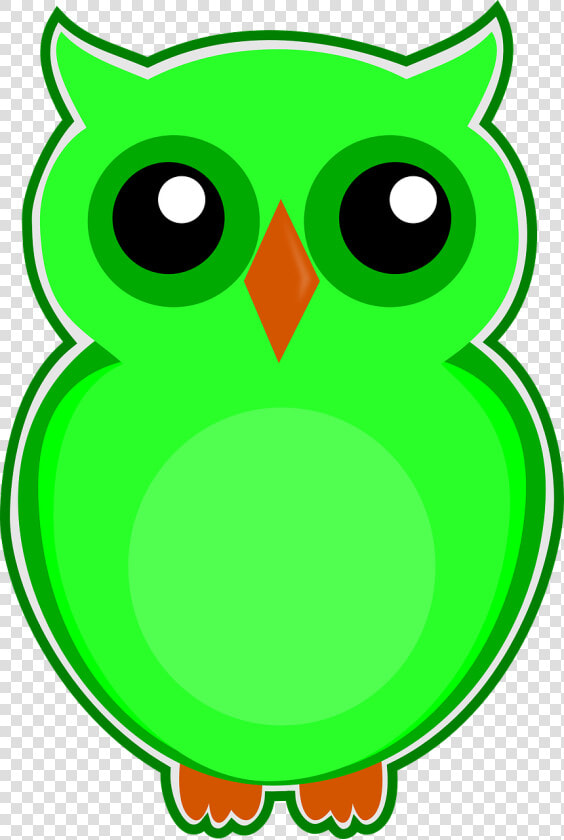 Gambar Keren Burung Hantu Kartun  HD Png DownloadTransparent PNG