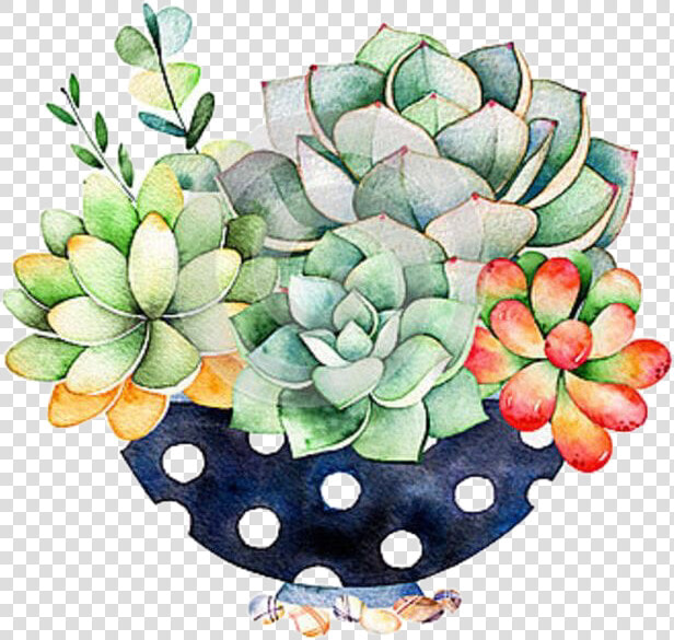  succulents  cactus  flowerarrangement  handdrawn  watercolor   Diamond Painting Kits Cactus  HD Png DownloadTransparent PNG