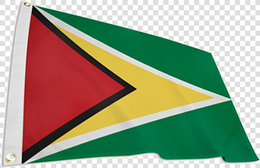 Guyana Flag Png  Transparent PngTransparent PNG