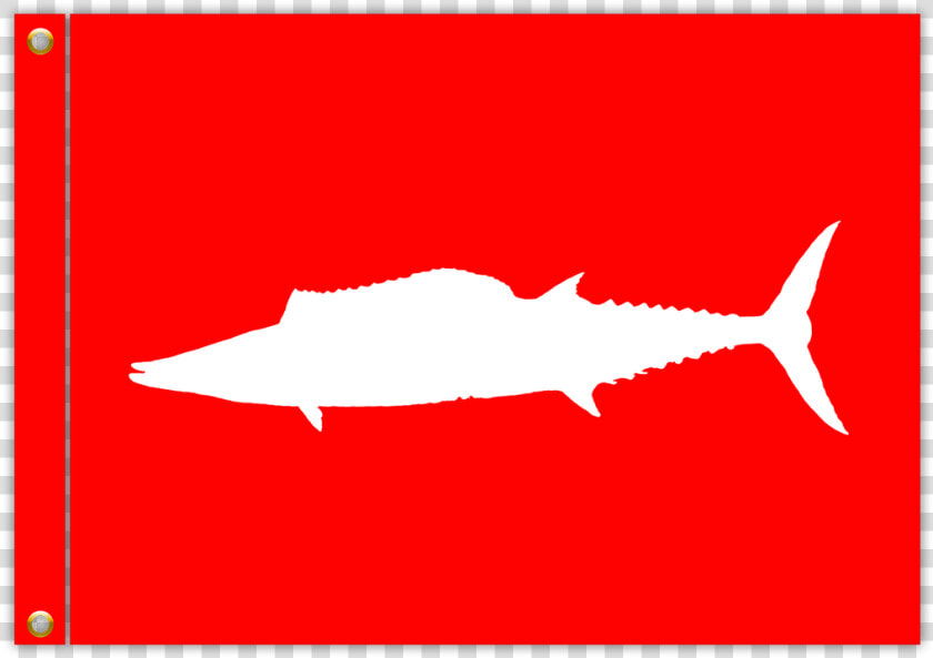 Wahoo Png  Transparent PngTransparent PNG