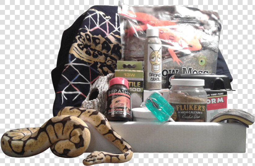 Reptile Subscription Box  HD Png DownloadTransparent PNG