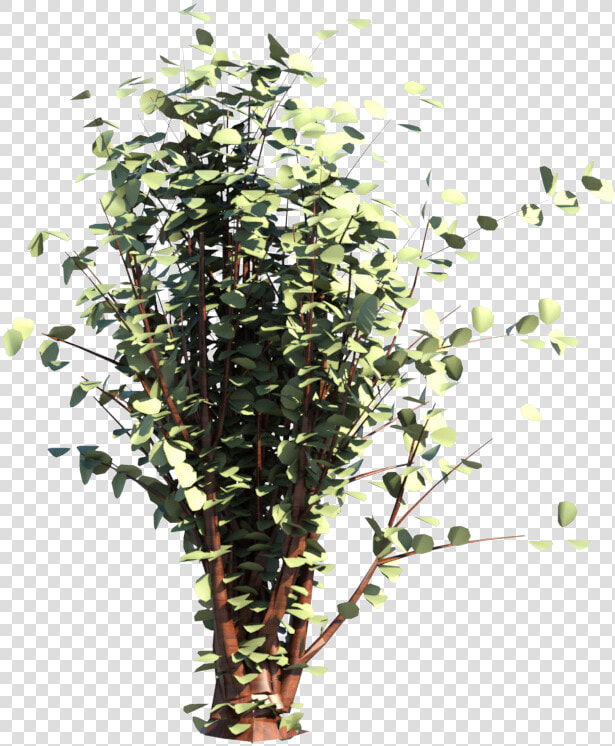 Arbusto Flores Imagens Png   Arbusto Png  Transparent PngTransparent PNG