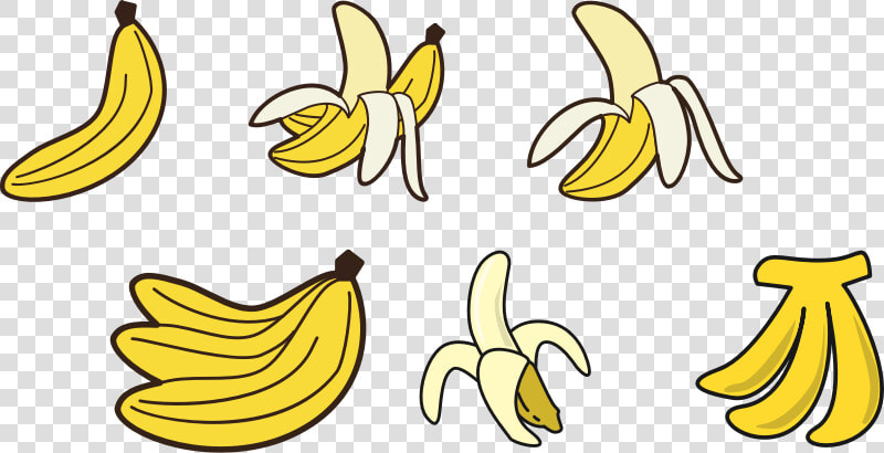 Transparent Bananas Png   Banana Drawing  Png DownloadTransparent PNG